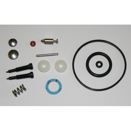 KIT REFECTION 494349 POUR BRIGGS ET STRATTON