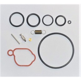 KIT REFECTION 590589 POUR BRIGGS ET STRATTON