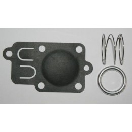 KIT MEMBRANE 5021 POUR BRIGGS ET STRATTON