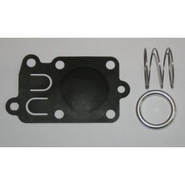 KIT MEMBRANE 5021H POUR BRIGGS ET STRATTON