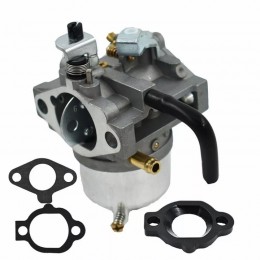 Carburateur compatible Briggs Stratton 492256