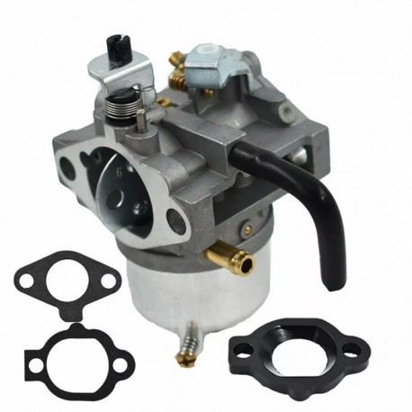 Carburateur compatible Briggs Stratton 492256