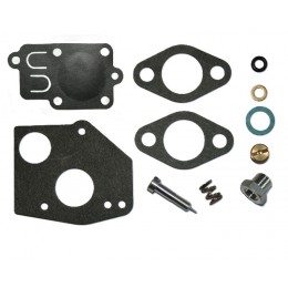 KIT REFECTION PULSA JET POUR BRIGGS ET STRATTON