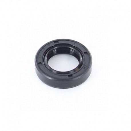 JOINT SPI HONDA GX25 GX31 GX35 15x25x6
