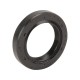 JOINT SPI ROBIN / SUBARU EH12, EX13, EX17, EX21, 25X38X7