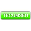 KIT REFECTION POUR TECUMSEH