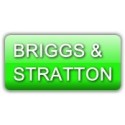 KIT REFECTION POUR BRIGGS & STRATTON